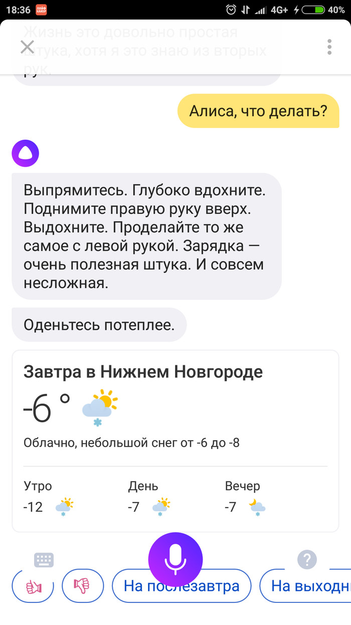 What to do? And I'll ask artificial intelligence - Yandex., Artificial Intelligence, Talk, Yandex Alice