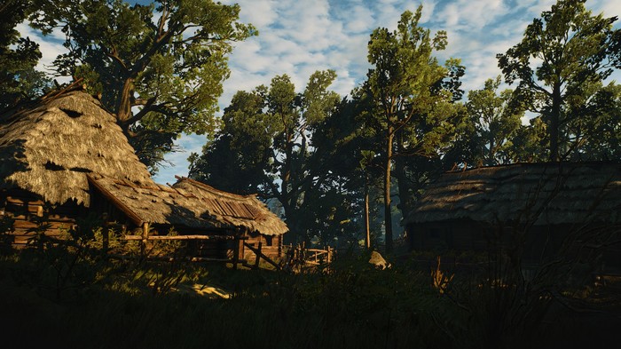 Village - Witcher, Screenshot