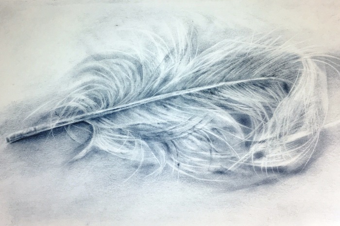 ostrich feather - My, Dry brush, Luboff00, Feather, Ostrich, Birds, Drawing