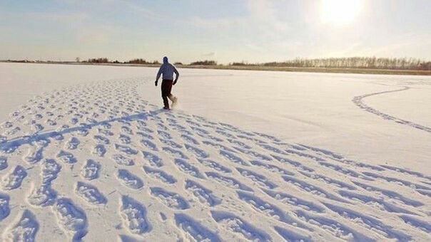 Footprints in the snow - Siberia, Snow, Artist