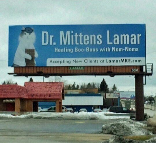 I think I've found my new doctor: - , cat, Doctors