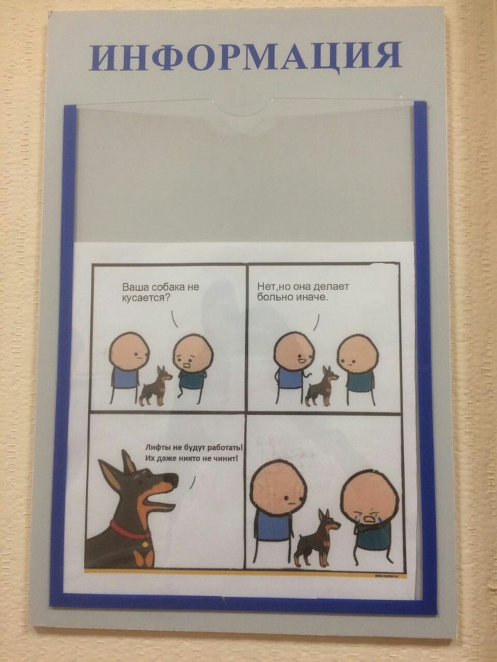 Someone was taken out by non-working elevators in the business center - Comics, Business Center, Cyanide and Happiness, Elevator, Cry from the heart, Work, My