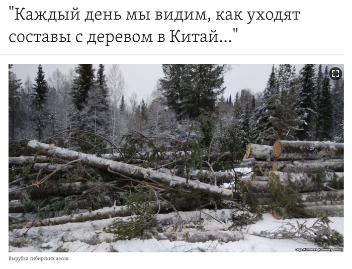 Прощай тайга