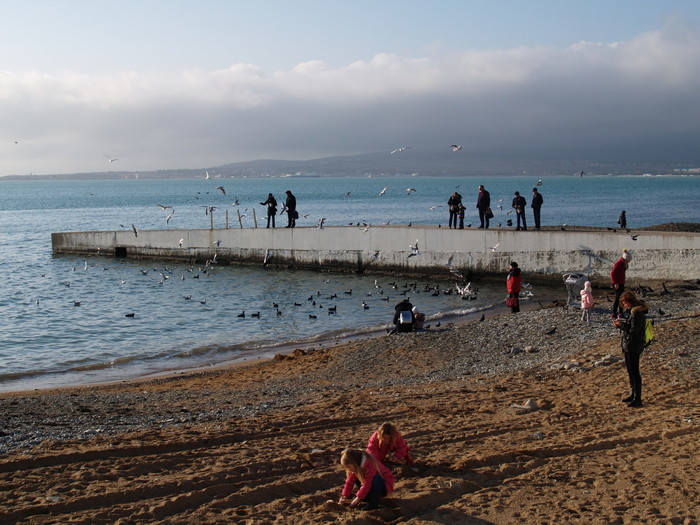 people and birds - My, People, Birds, Sea, Gelendzhik, The photo, February