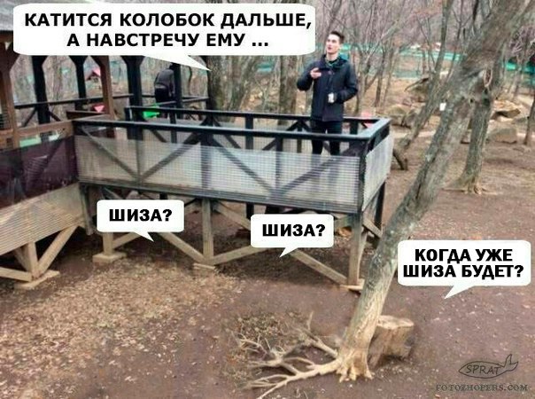 Скорей бы шиза уже...