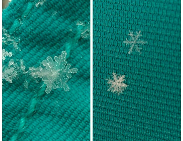 Snowflakes. - My, Winter, Snowflake, Nature