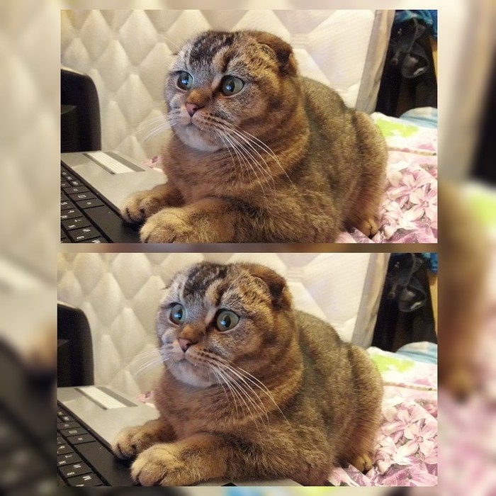 Когда на работе вспоминаешь, что не закрыл дверь уходя из дома