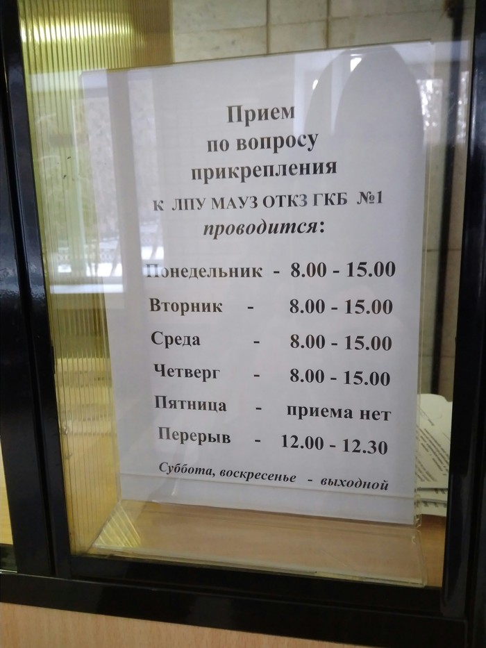 Municipal polyclinic for the elite - My, Hospital, Chelyabinsk, VД“dljavas, Longpost