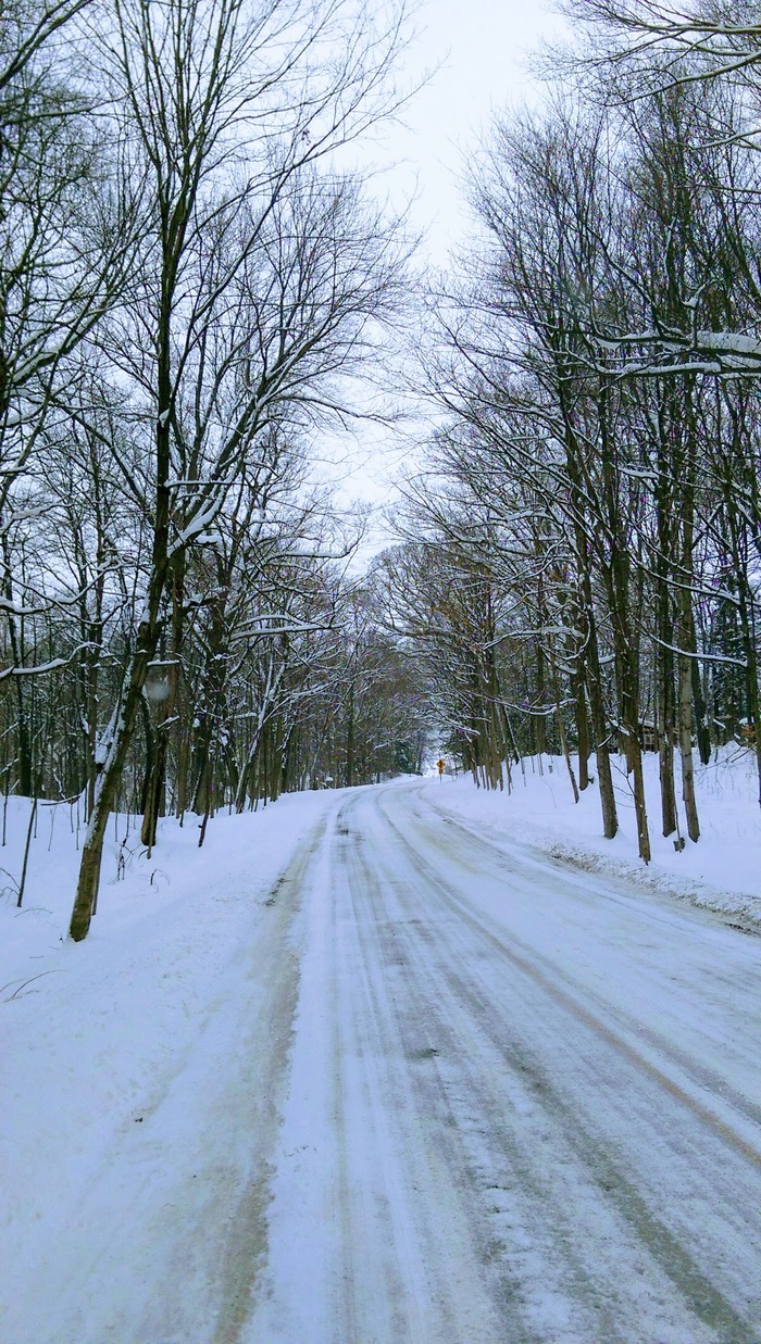 Winter Michigan. Victims of the last snowfall lie along the road - My, America, USA, Michigan, , rural america, Snowfall, Longpost