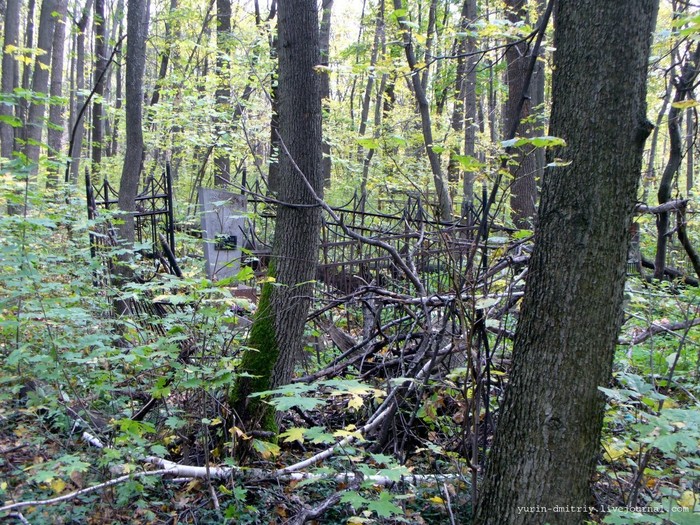 abandoned cemetery - Cemetery, Abandoned, Longpost, Grave, Vandalism