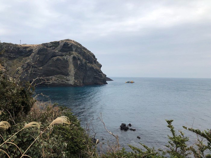 1519143550164399930 чеджу еда что это