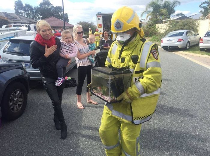 In case of fire... - Aquarium, Firefighters, The rescue