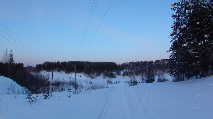 Winter forest, sunset - My, February, Leningrad region, Sunset, Excavator, Video, Longpost
