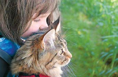 The story of Iris Grace: how a cat changed the life of a girl with autism - Autistic Disorders, cat, , Longpost