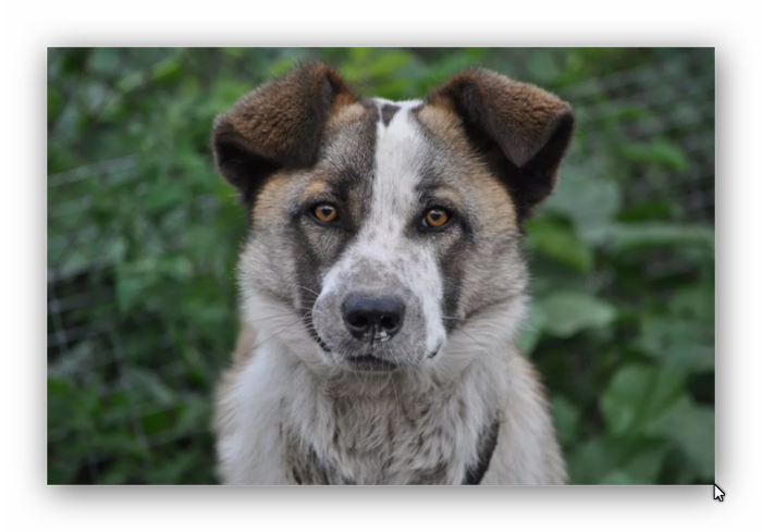 Интеллигентный, с чувством собственного достоинства.