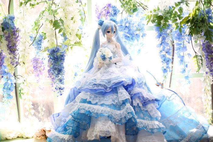 DollfieDream -   Dollfiedream,  , , , , 
