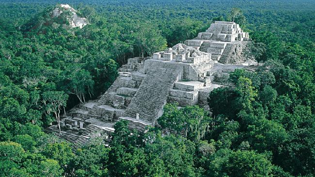 The realm of nature in Mayan cities - Temple, Mayan, Aztecs, Nature, wildlife, Mexico, Antiquity, Longpost