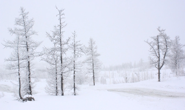 A container with cesium was lost in the Yamal tundra. - news, Cesium, Radiation, Tundra, Yamal, Yamalo-Nenets, YaNAO