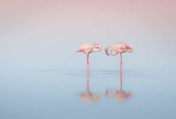 что значит дитя заката. Смотреть фото что значит дитя заката. Смотреть картинку что значит дитя заката. Картинка про что значит дитя заката. Фото что значит дитя заката