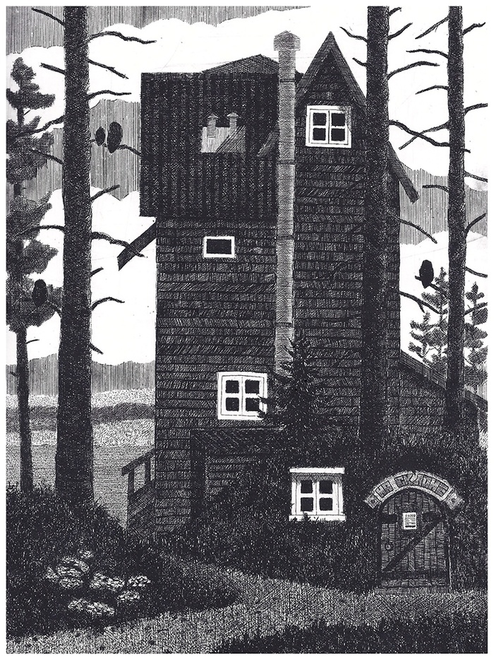 Hotel and tavern On the slope - My, Etching, Drawing, Hotel, Fun, Landscape, Longpost