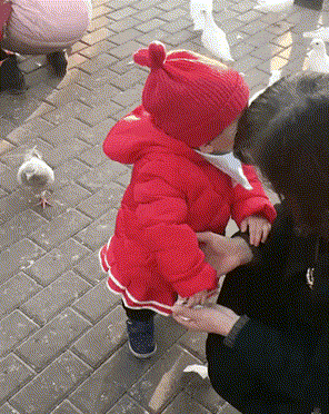 Come here! It is mine... - Children, Birds, Food, GIF