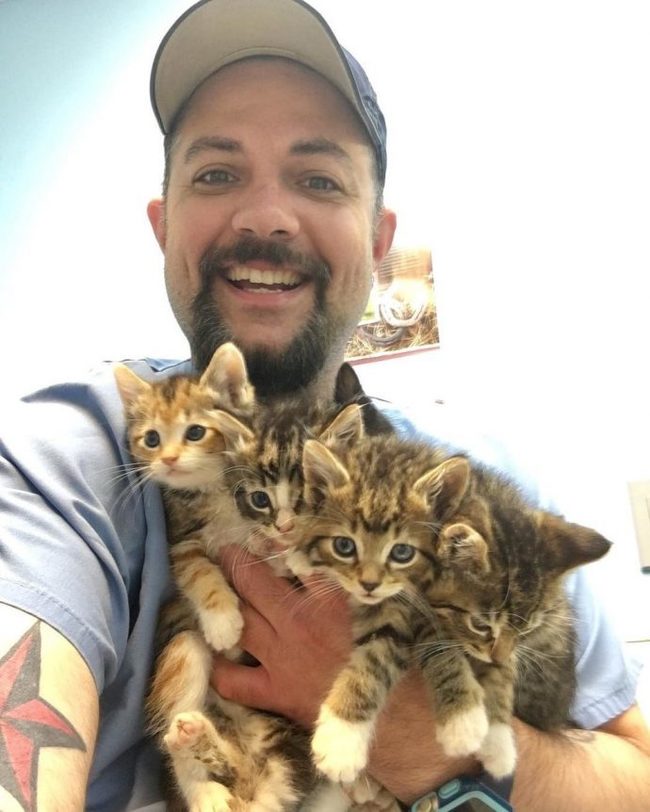 “One, two, three, four, five – start hugging!” Every morning he gets a basket of kittens and starts working miracles...) - Vet, cat, Work, The rescue, Longpost