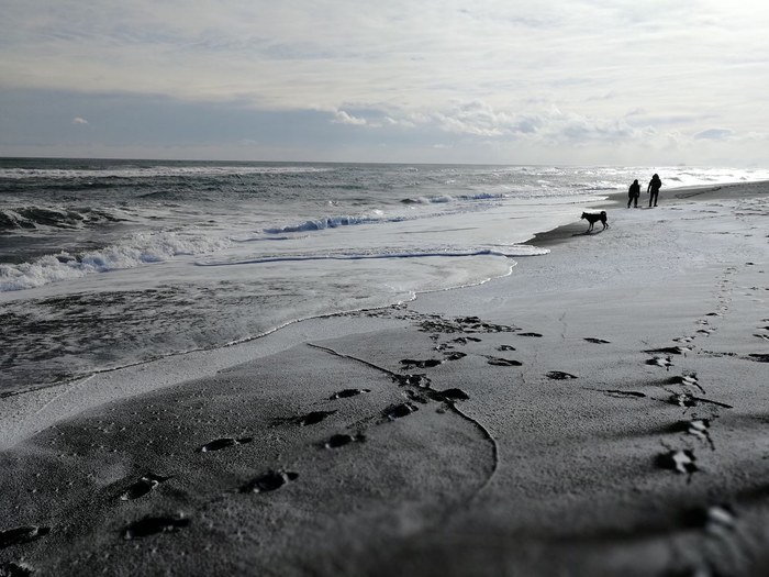 And we have a black and white winter - My, Ocean, Kamchatka, Winter, Sand, Footprints, The photo