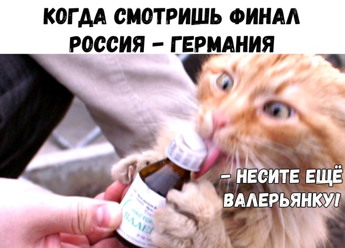 ������, �����!!!