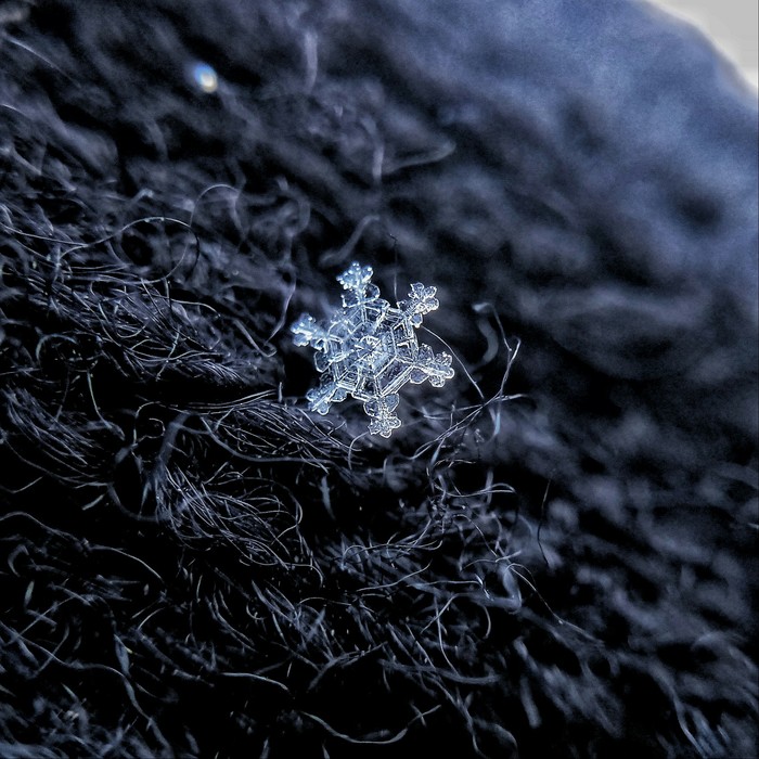 Snowflake - My, Macro, Snow, Mobile photography, The photo, Snowflake, Macro photography