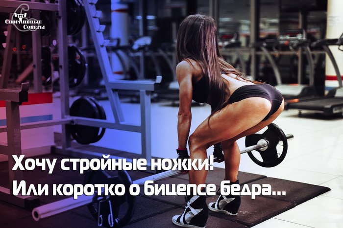 I want slender legs! Or briefly about the biceps femoris - My, Sport, Тренер, Training program, Muscle, Biceps, Legs, beauty, Sports Tips, Longpost