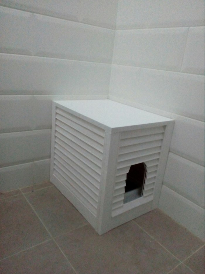 WC of the CAT - My, , cat house, Longpost