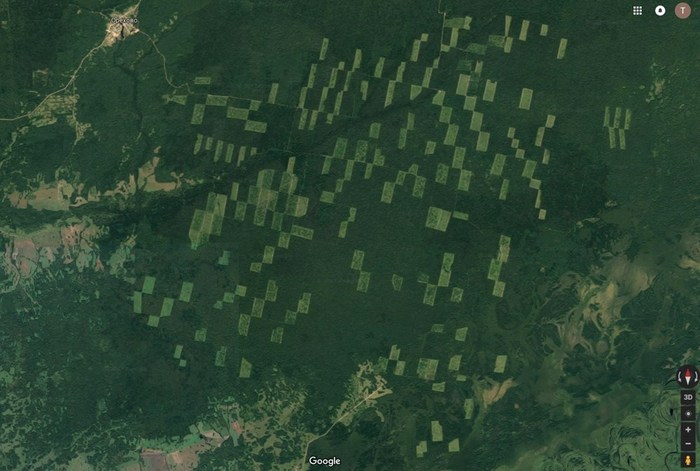 Китайская фирма арендовала 137 тысяч га томского леса на 49 лет Сибирь, Китай, вырубка лесов, длиннопост