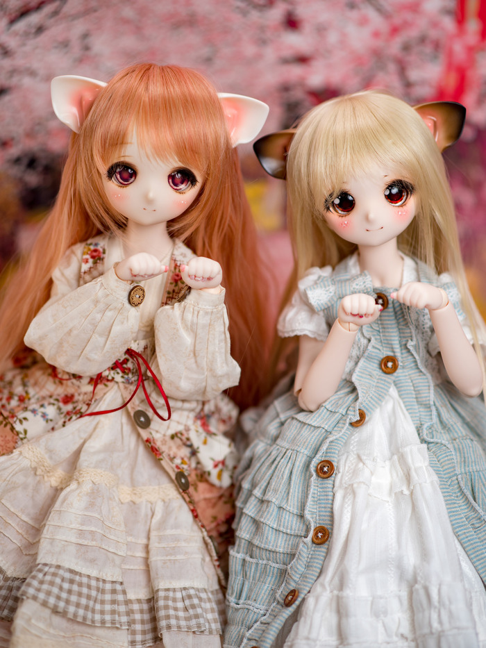 DollfieDream -   Dollfiedream,  , , , , 