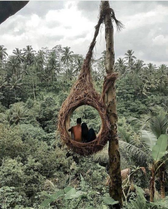 Maybe this is what a cozy family nest looks like? - Tree house, Family