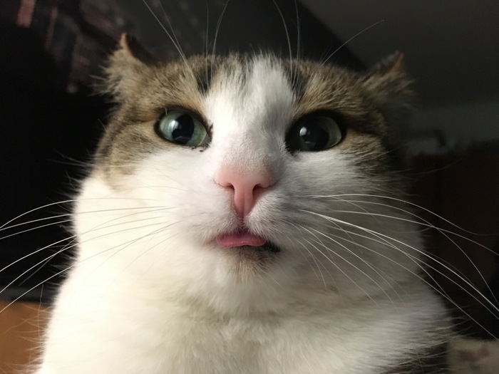 ���������