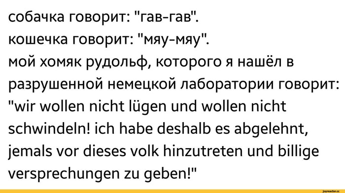 Занимательная зоология - Собака, Кот, Хомяк, Немецкий язык, Картинка с текстом, Юмор