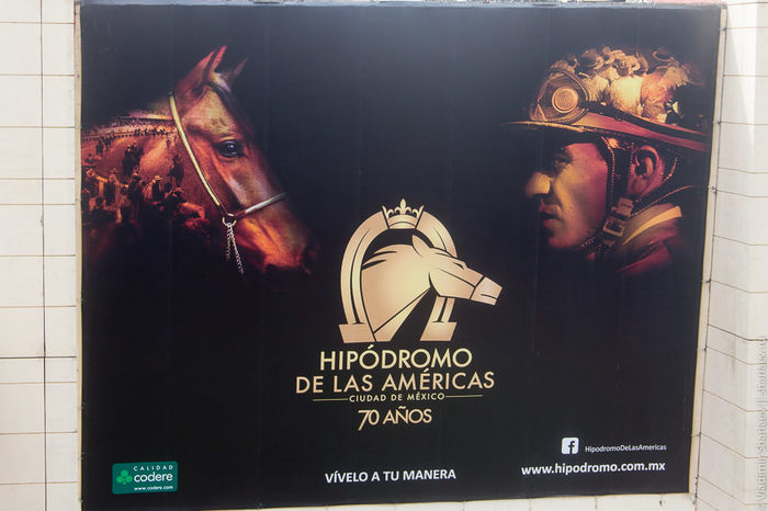 Mexico City. Horse racing! - My, Mexico, Horses, Hippodrome, Competitions, Longpost, Horse racing