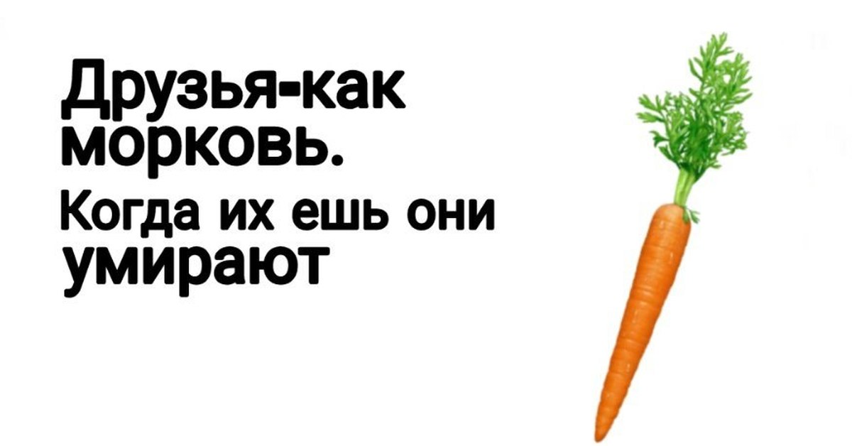 Морковь про 2024 года. Мемы с морковкой. Морковь Мем. Мемы про морковь. Афоризмы с морковкой.