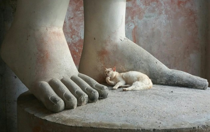 Big Buddha cat - My, Phuket, Nirvana, cat, The state of nirvana, Legs, Sculpture, Feet
