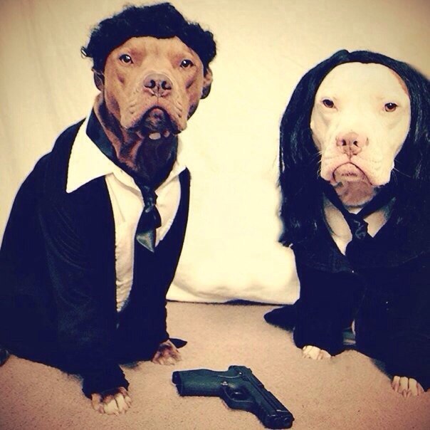 Jules and Vincent - Dog, Pulp Fiction, Movies