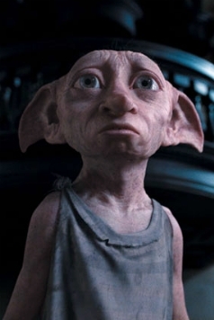 Elections, elections. - Elections, Politics, Dobby