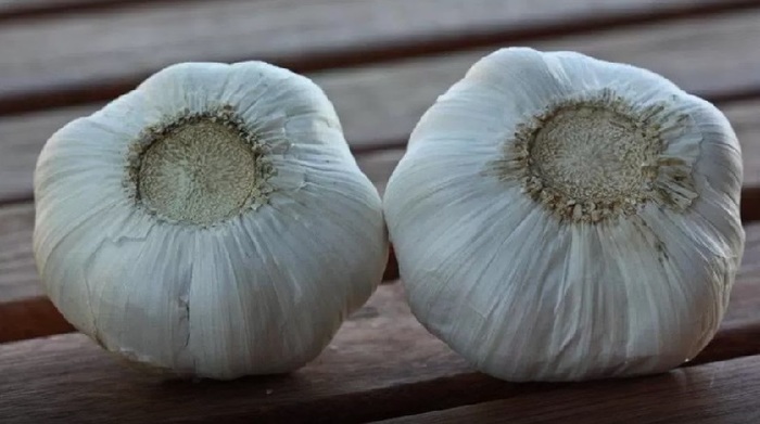 Garlic. honest review - My, Garlic, Food, Overview, Longpost