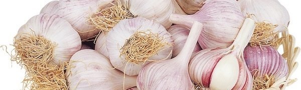 Garlic. honest review - My, Garlic, Food, Overview, Longpost