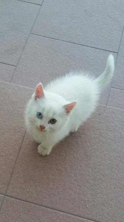 ����� �������, ���� � �����?