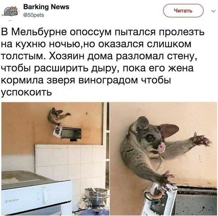 ������� ����� ��� ���������