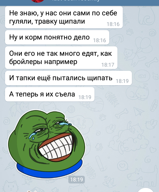 So it's a pity - My, Screenshot, Гусь, A pity