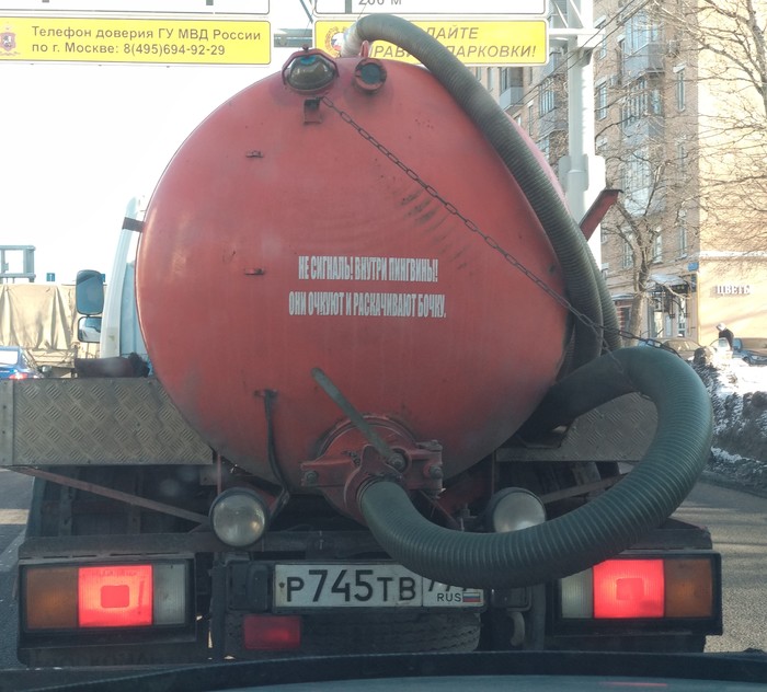 Penguins in a cistern on the roads of Moscow - My, Penguins, Tank, Road