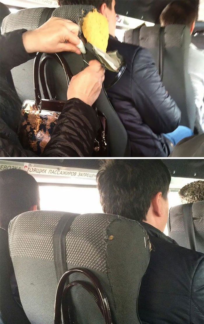 While we were driving, a woman decided to sew up a torn headrest, out of boredom - Bus, Headrest