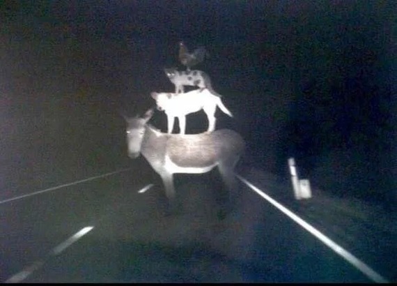 Они существуют!