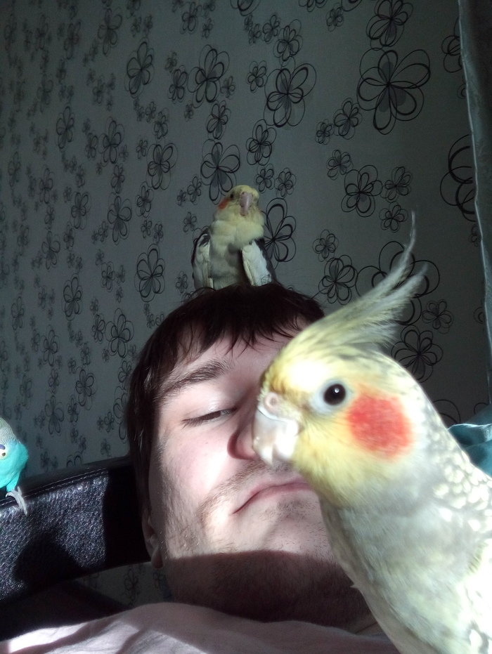 ������ v2.0